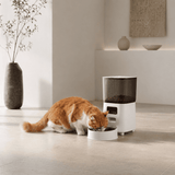 FURIIO NovaFeed Pro 5L Smart WiFi Automatic Cat Feeder with HD Camera