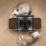 Smart Dual Bowl Automatic Cat Feeder – WiFi Feeding System for Two Cat