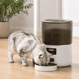 FURIIO Automatic Cat Feeder – Airtight Food Storage System