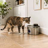 FURIIO Stainless Steel Cat Water Fountain – Hygienic Filtered Drinking Fountain | Aqualinox