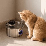 FURIIO Stainless Steel Cat Water Fountain – Hygienic Filtered Drinking Fountain | Aqualinox