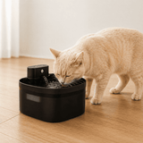 FURIIO Automatic Cat Water Fountain – Ultra Quiet Filtered Drinking Fountain | FreshFlow