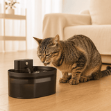 FURIIO Automatic Cat Water Fountain – Ultra Quiet Filtered Drinking Fountain | FreshFlow