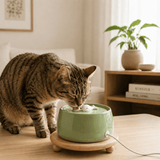 FURIIO Automatic Cat Water Fountain – Compact Filtered Drinking Fountain for Cats | CompactPure