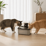 FURIIO Automatic Cat Water Fountain – Ultra Quiet Pet Drinking Fountain | SilentFlow