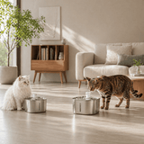 FURIIO Automatic Cat Water Fountain – Large Capacity Filter System | APETDOLA