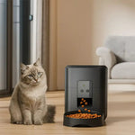 Distribution précise des croquettes avec capteur, bol stable pour chat d’intérieur