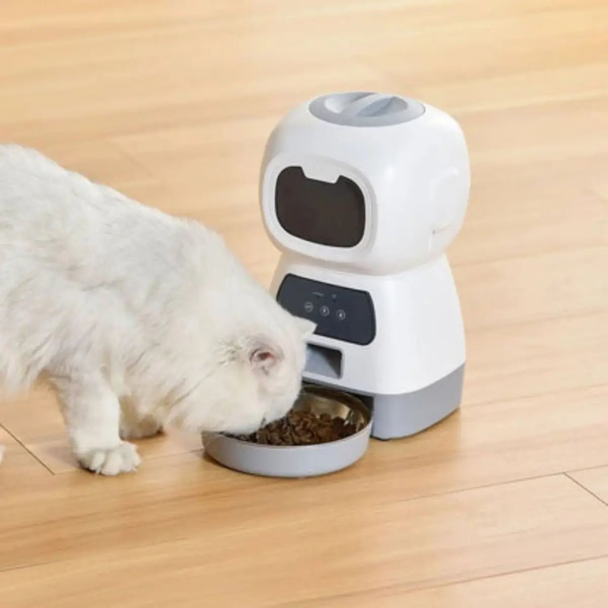 Distributeur de croquettes pour chat NutriZen avec un chat blanc mangeant sur un sol en bois. - ambiance cosy