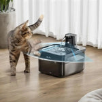 fontaine a eau chat DownyPaws noire sur parquet, deux chats face au jet d’eau près des rideaux.