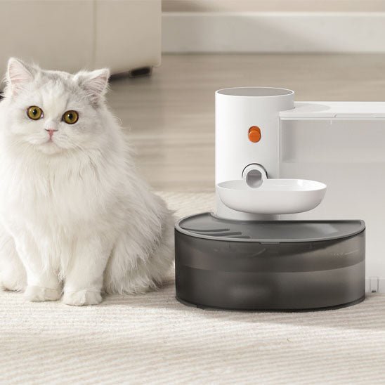 fontaine à eau chat grande capacité avec bol surélevé